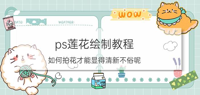 ps莲花绘制教程 如何拍花才能显得清新不俗呢？